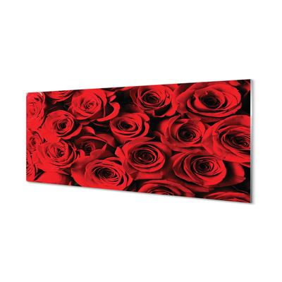Skleněný panel Růže