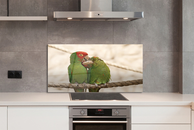 Skleněný panel zelené papoušci