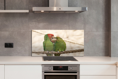 Skleněný panel zelené papoušci