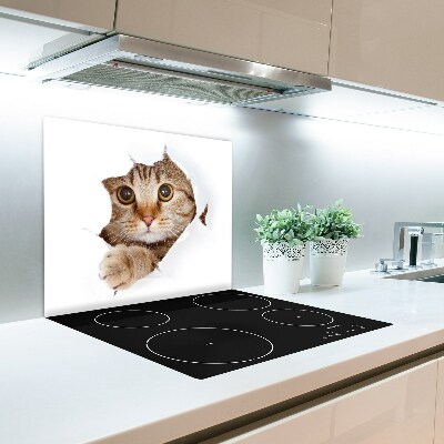 Skleněná krájecí deska kočka