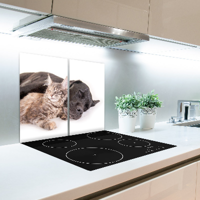 Skleněné deska do kuchyně Pes s kočkou