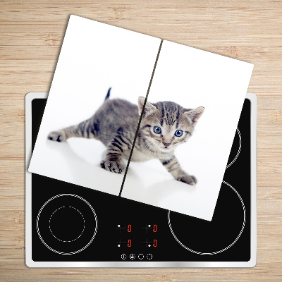 Skleněné deska do kuchyně Malá kočka