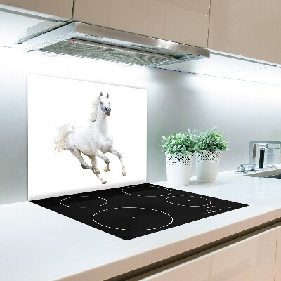 Skleněné deska do kuchyně Bílý arabský kůň