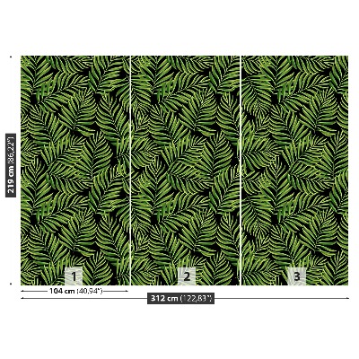 Fototapeta palmové listy