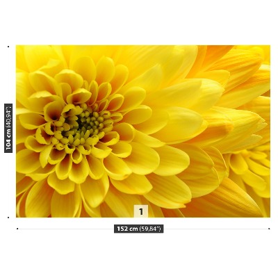 Fototapeta Žlutý květ