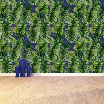 Fototapeta Tropické monstera