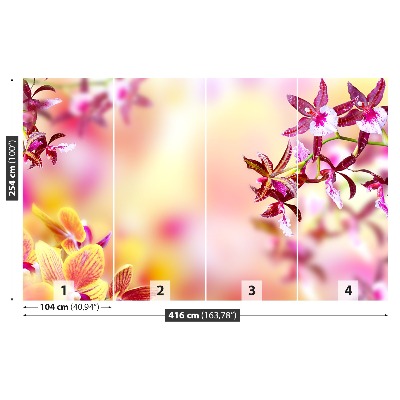 Fototapeta Růžová orchidej