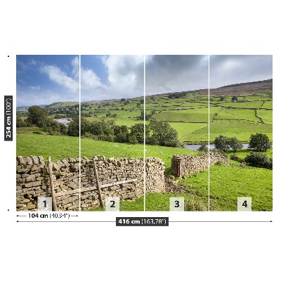 Fototapeta Yorkshire údolí