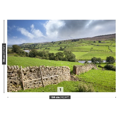 Fototapeta Yorkshire údolí