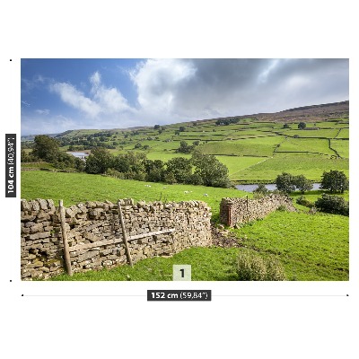 Fototapeta Yorkshire údolí