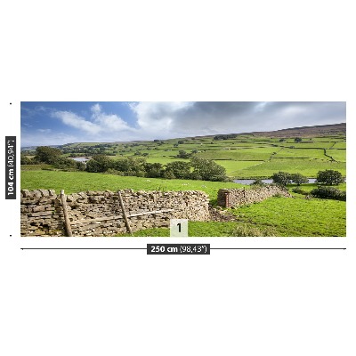 Fototapeta Yorkshire údolí