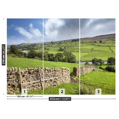 Fototapeta Yorkshire údolí