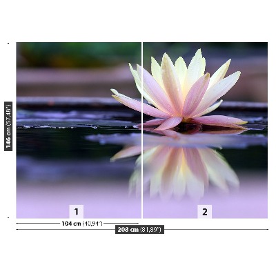 Fototapeta lotus