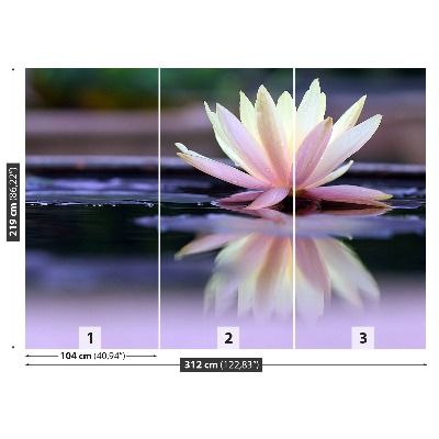 Fototapeta lotus