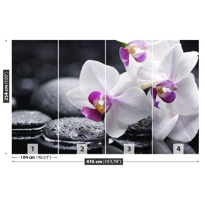 Fototapeta orchidej