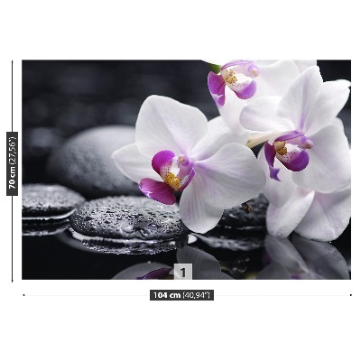 Fototapeta orchidej