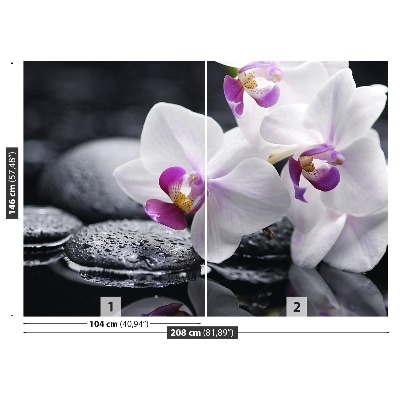 Fototapeta orchidej