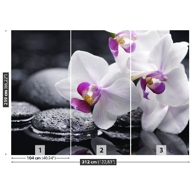 Fototapeta orchidej