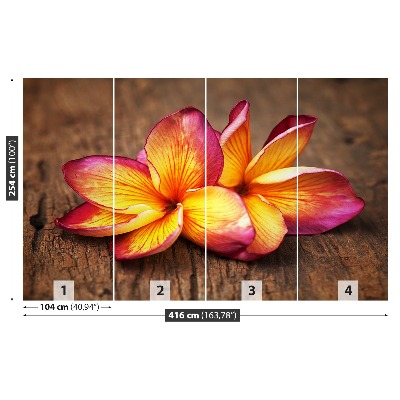 Fototapeta Plumeria Wood