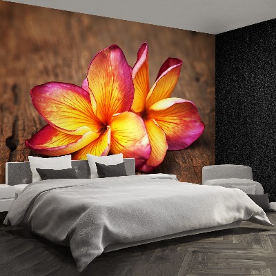 Fototapeta Plumeria Wood