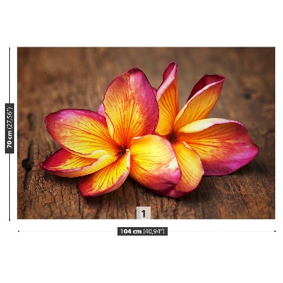 Fototapeta Plumeria Wood