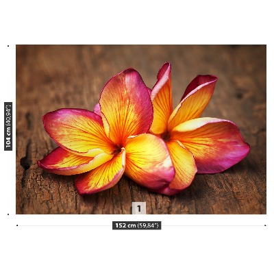 Fototapeta Plumeria Wood