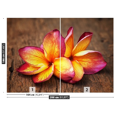 Fototapeta Plumeria Wood