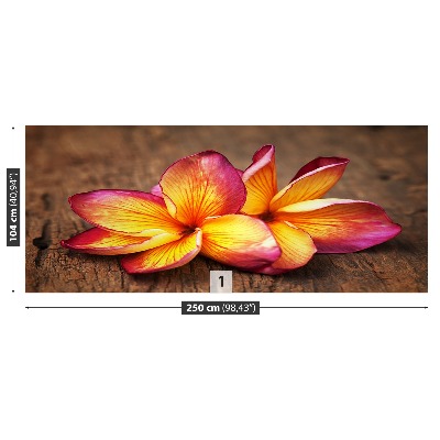 Fototapeta Plumeria Wood