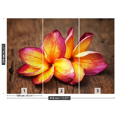 Fototapeta Plumeria Wood