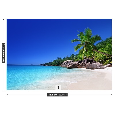 Fototapeta Seychelská pláž