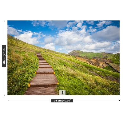 Fototapeta Ostrov Madeira