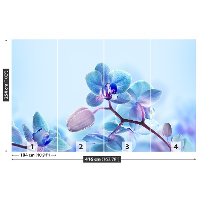 Fototapeta Tropické orchideje