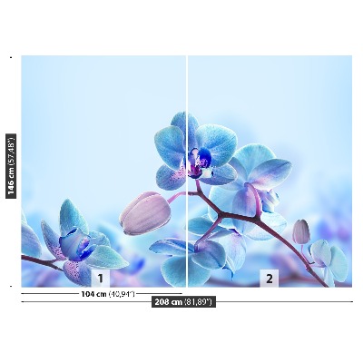 Fototapeta Tropické orchideje