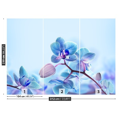 Fototapeta Tropické orchideje