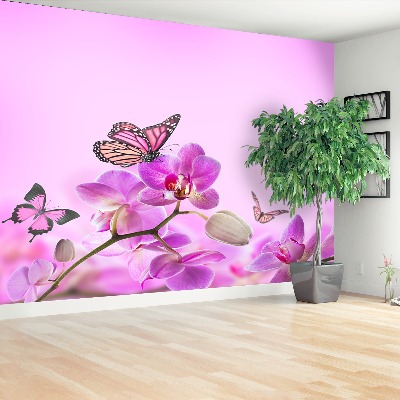 Fototapeta Orchid Motýl