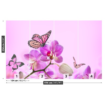 Fototapeta Orchid Motýl