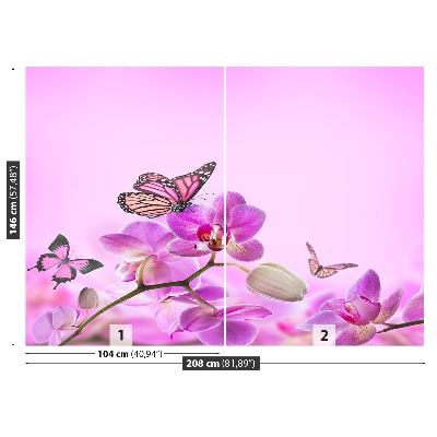 Fototapeta Orchid Motýl