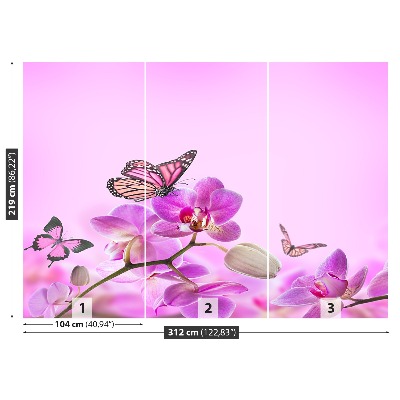 Fototapeta Orchid Motýl