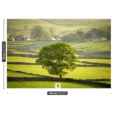 Fototapeta Anglie Derbyshire