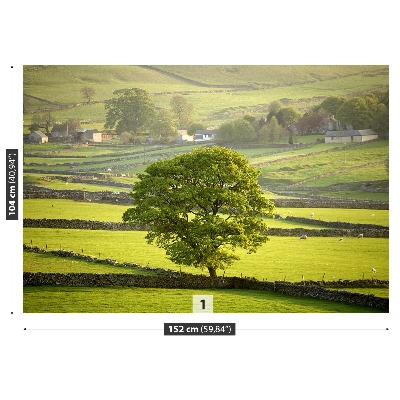 Fototapeta Anglie Derbyshire