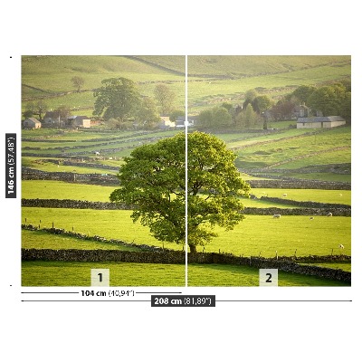 Fototapeta Anglie Derbyshire