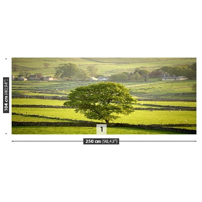 Fototapeta Anglie Derbyshire