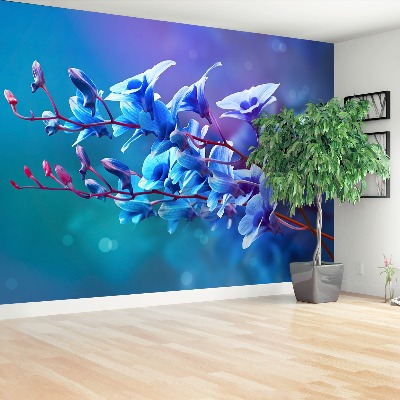 Fototapeta Modrá orchidej