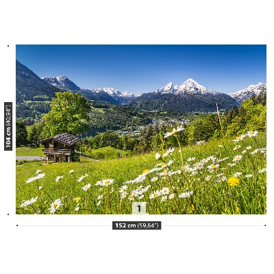 Fototapeta Bavorsko hory