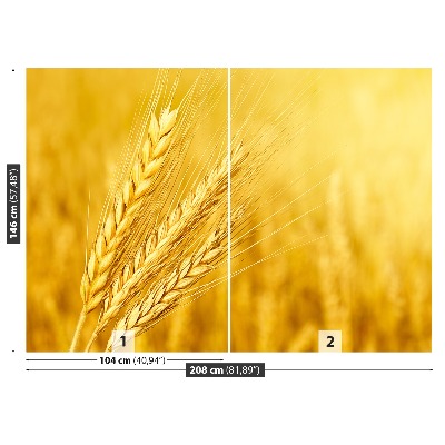 Fototapeta Klas pšenice