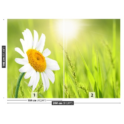 Fototapeta sedmikráska