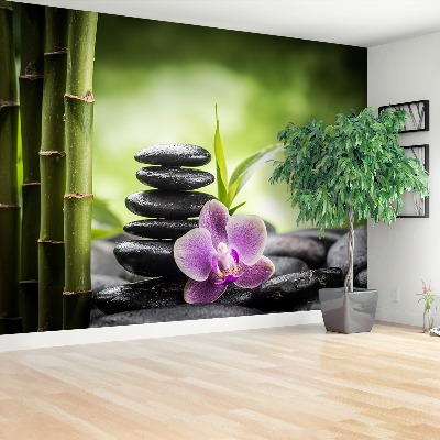 Fototapeta Orchidej zen
