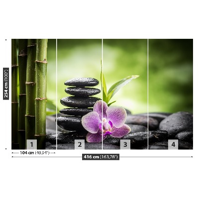 Fototapeta Orchidej zen