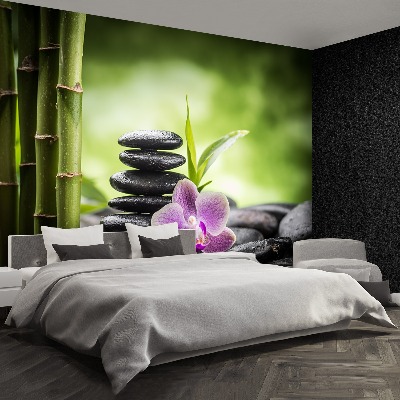 Fototapeta Orchidej zen