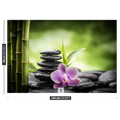 Fototapeta Orchidej zen